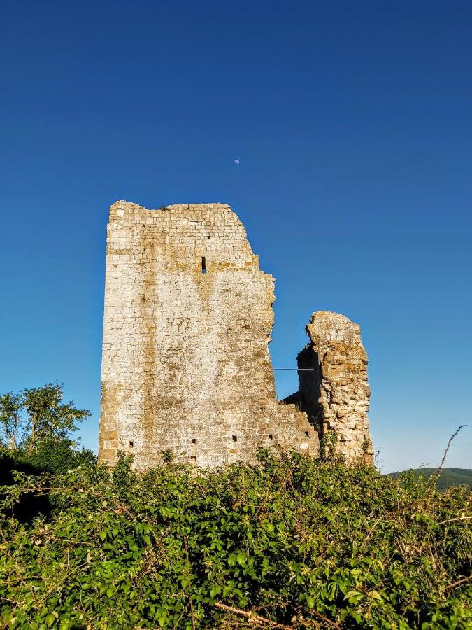 Il Castello Daire Bucine Dış mekan fotoğraf