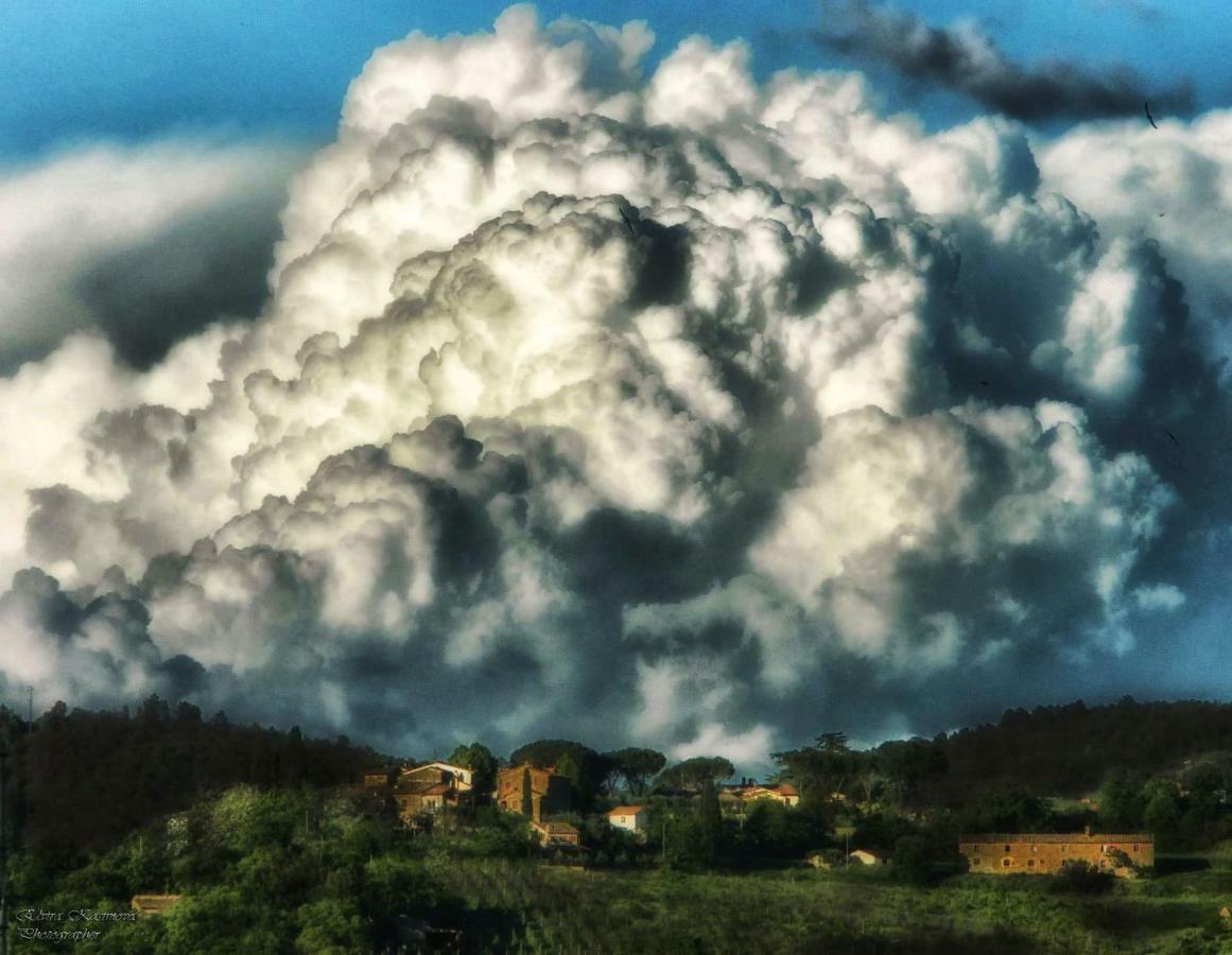 Il Castello Daire Bucine Dış mekan fotoğraf