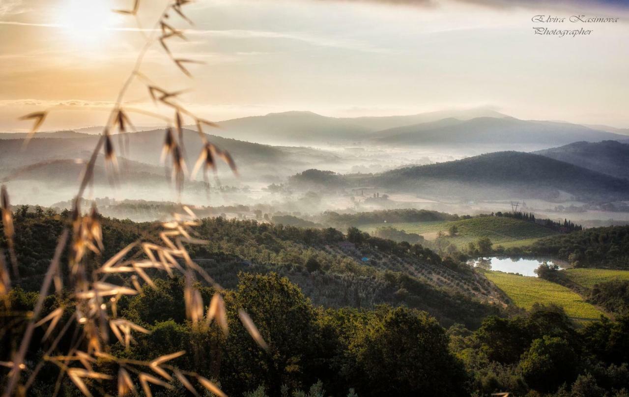 Il Castello Daire Bucine Dış mekan fotoğraf